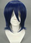 The Prince of Tennis Shinji Ibu Cosplay Perücke